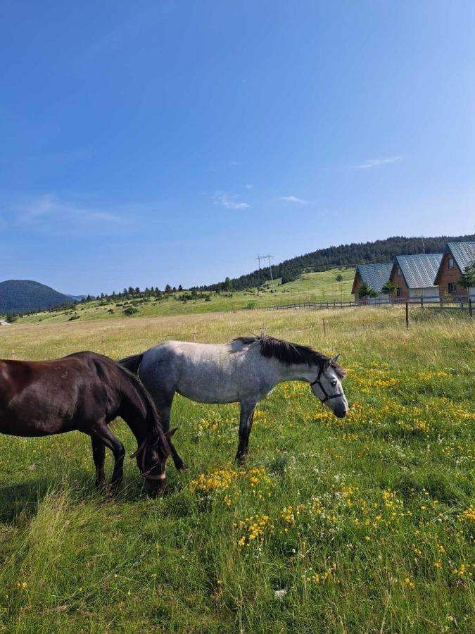 Vule Bungalovi Zabljak  Exterior photo